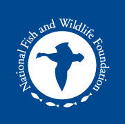 National Fish and Wildlife Foundation